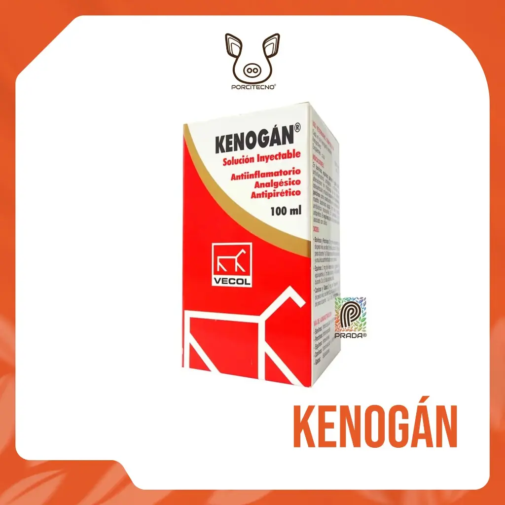 KENOGAN X 100 ML {M}