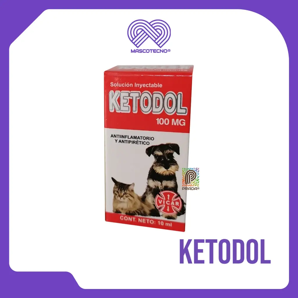 KETODOL 100MG/ML X 10ML