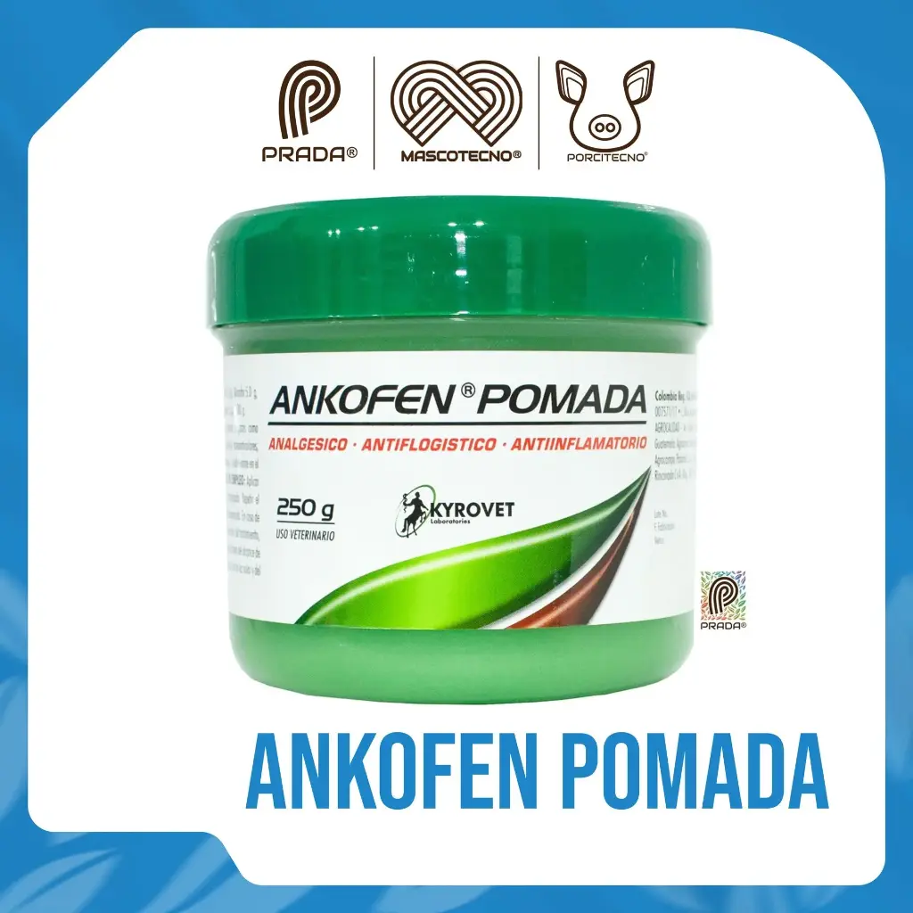 [7-1301-0148] ANKOFEN POMADA x 250 GR {M}