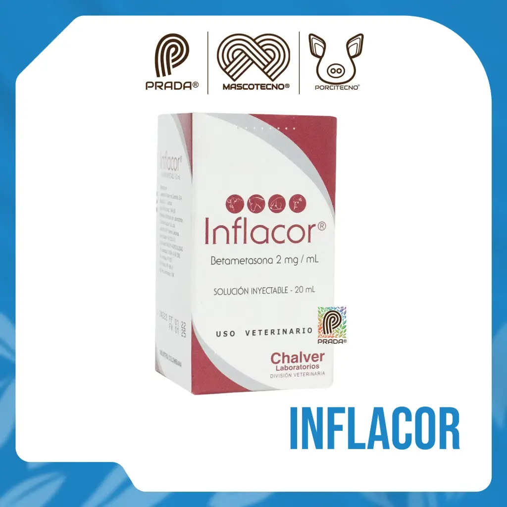 [7-0801-0628] Inflacor x 20 ML