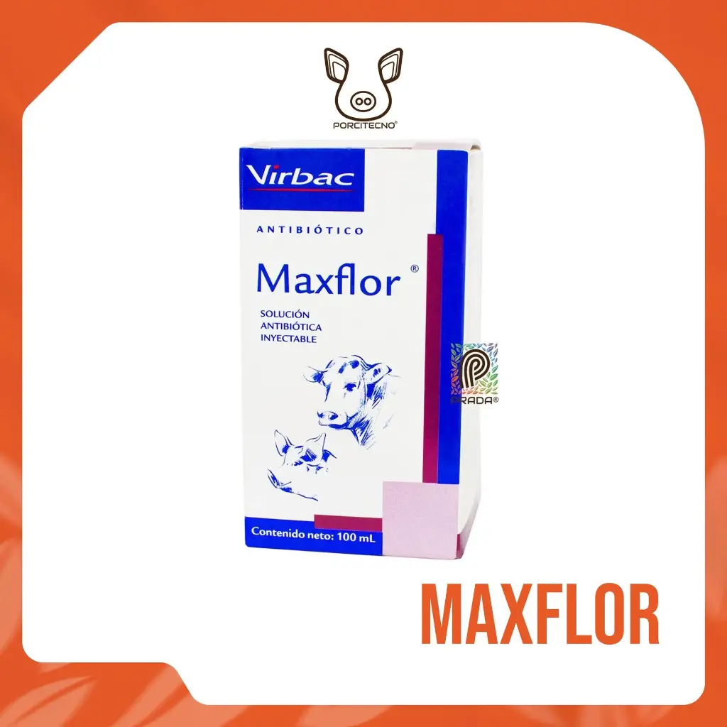 MAXFLOR INY X 100 ML