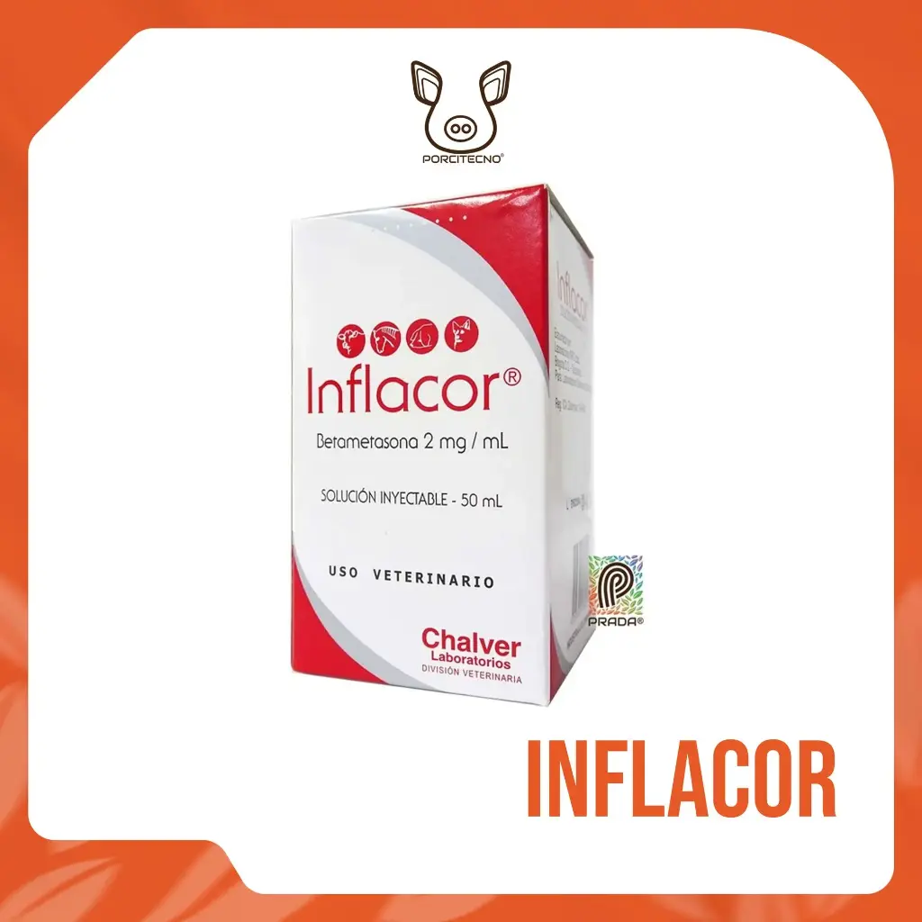 INFLACOR X 50 ML {M}