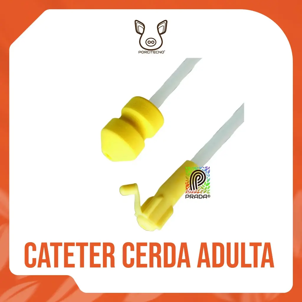 CATÉTER CERDA ADULTA (SOW) AMARILLO TIPO A {M}