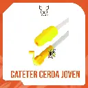 CATETER CERDA JOVEN GILT AMARILLO TIPO B