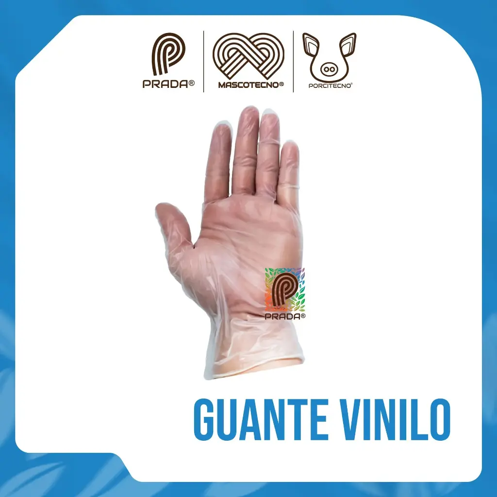 Guante Vinilo Talla L Caja x 100 unid