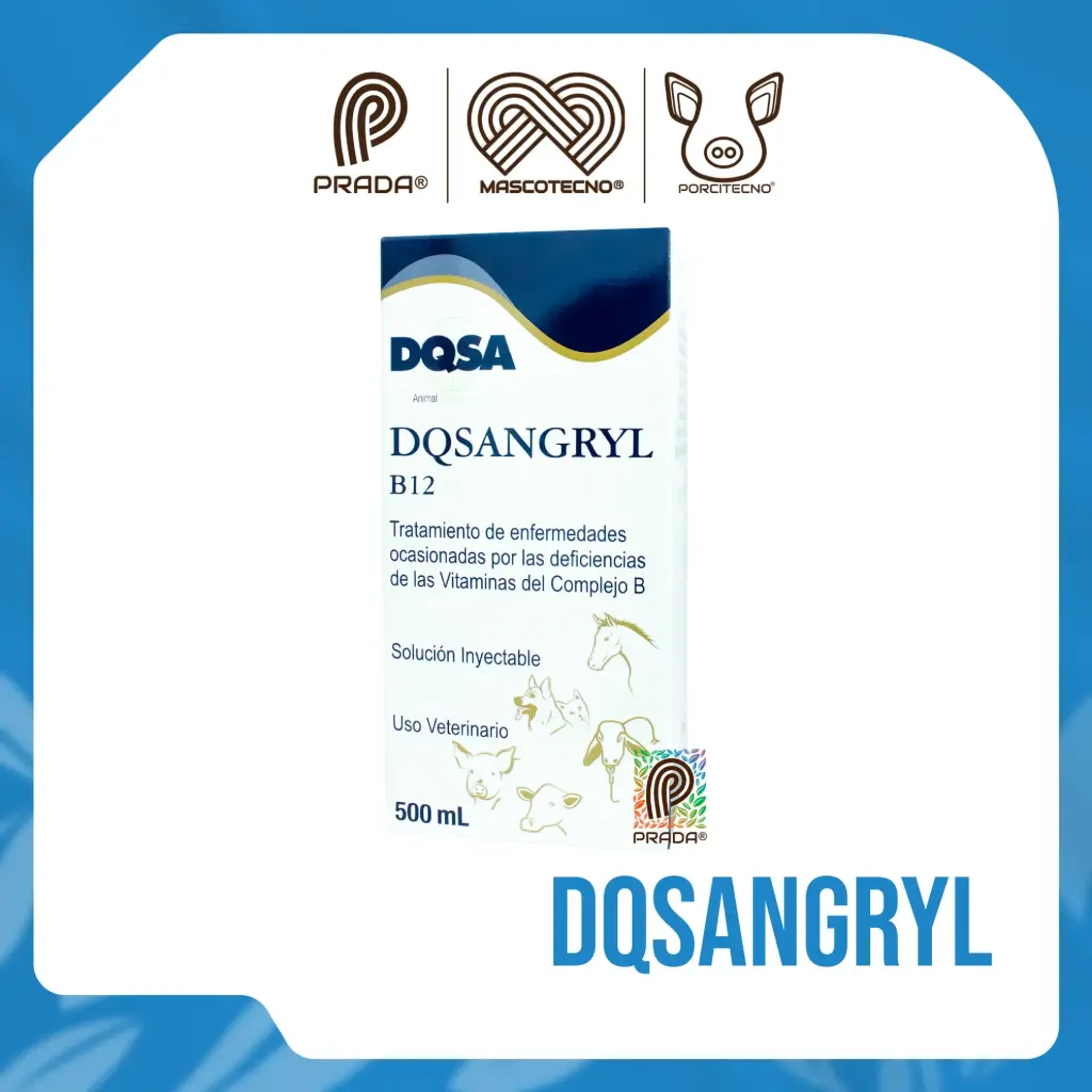 DQSANGRYL B12 X 500 ML [03633]