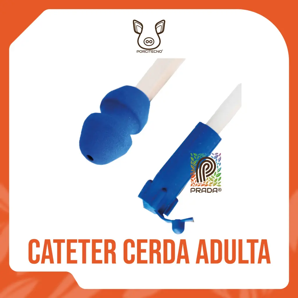 CATETER CERDA ADULTA (SOW) AZUL TIPO A