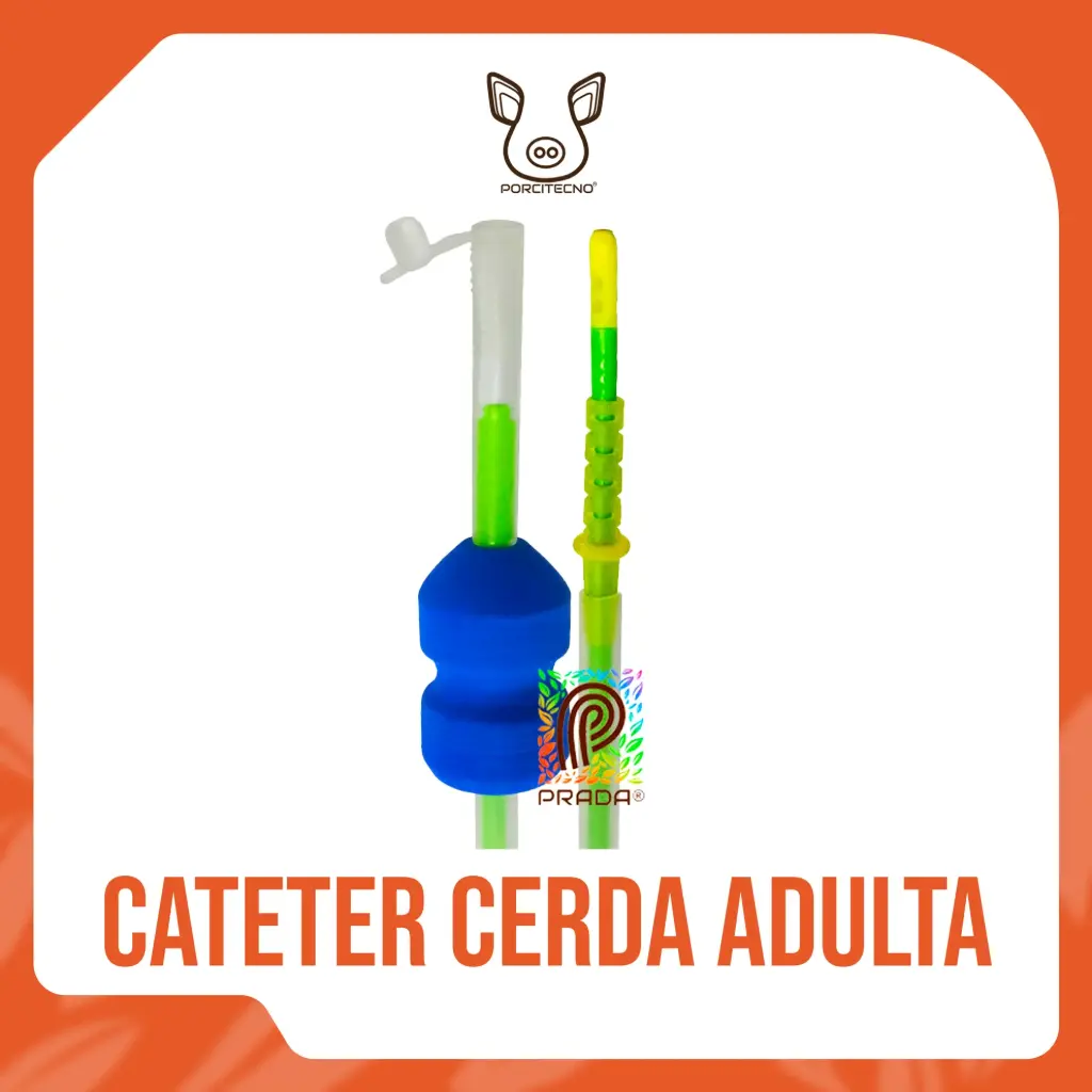 CATÉTER CERDA ADULTA (SOW) POST CERVICAL