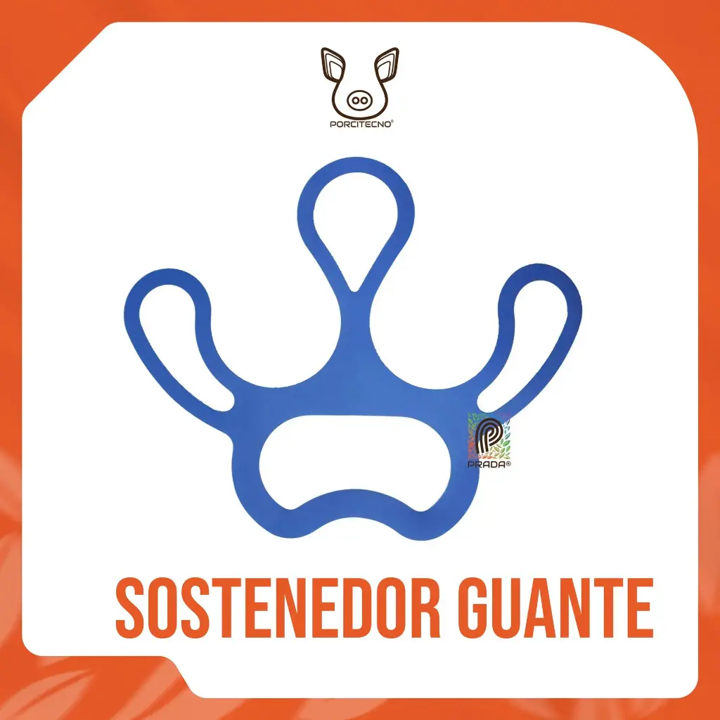 SOSTENEDOR DE GUANTE AZUL