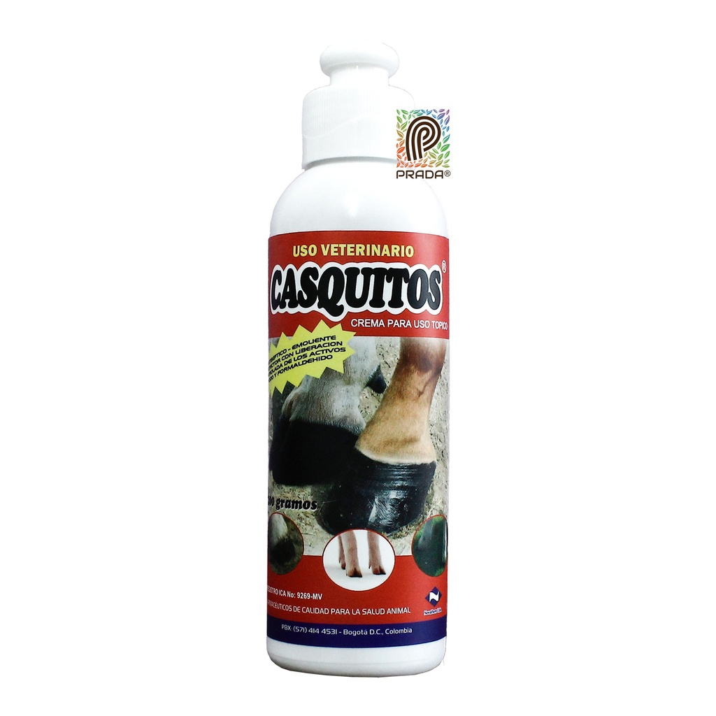 CASQUIL X 250 GR (copia)