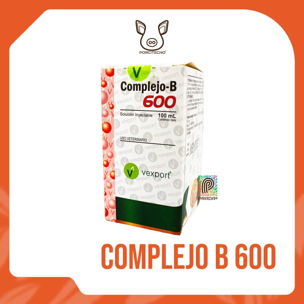 [7-0603-0081] COMPLEJO-B 600 X 100 ML
