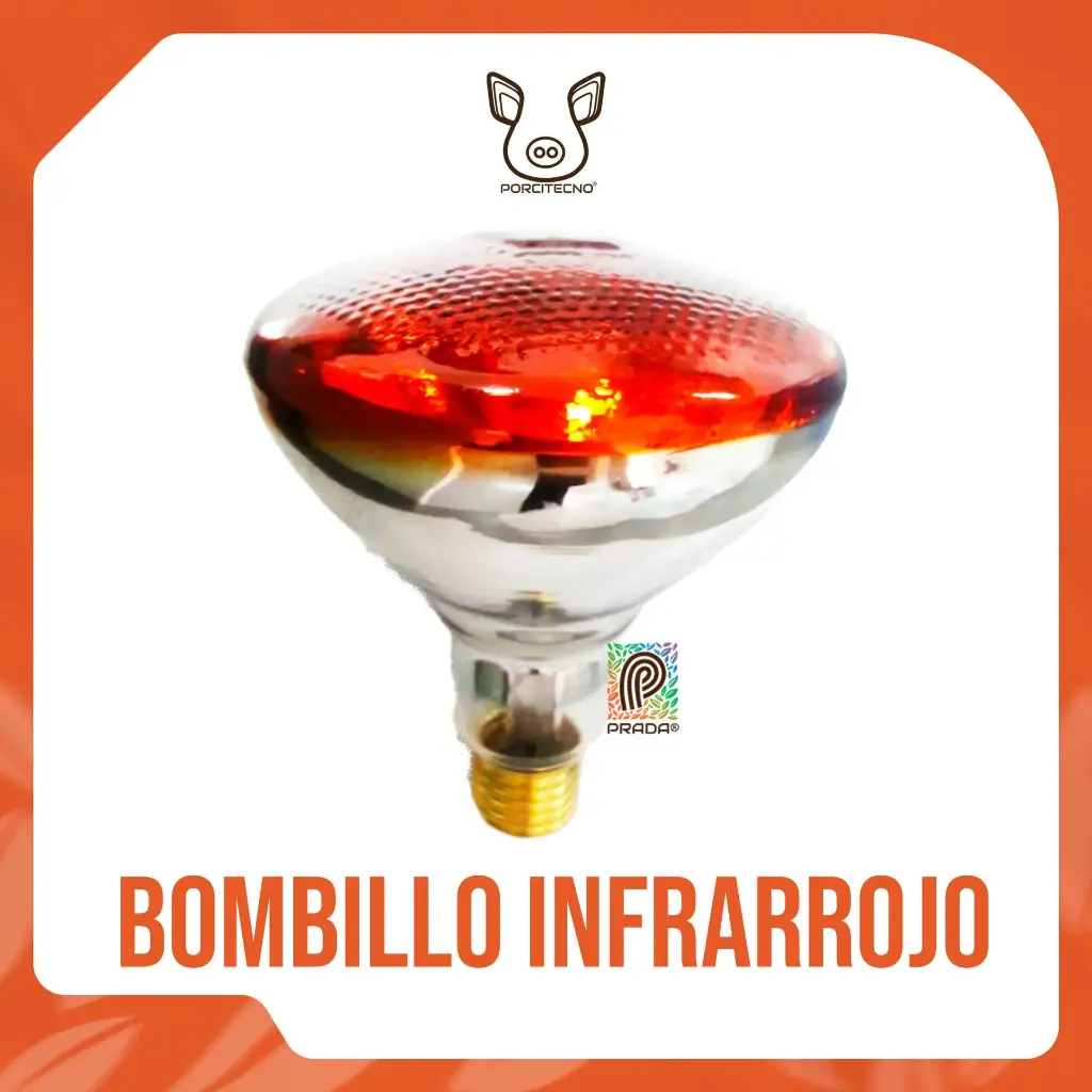 LAMPARA (BOMBILLO INFRARROJO) 110V - 175W