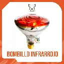 LAMPARA (BOMBILLO INFRARROJO) 110V - 175W