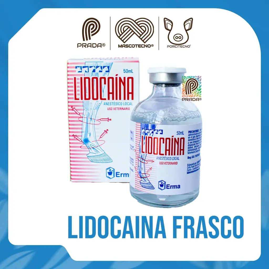 [1-00103-0099] LIDOCAINA FRASCO X 50 ML
