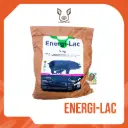 ENERGILAC 5 KL