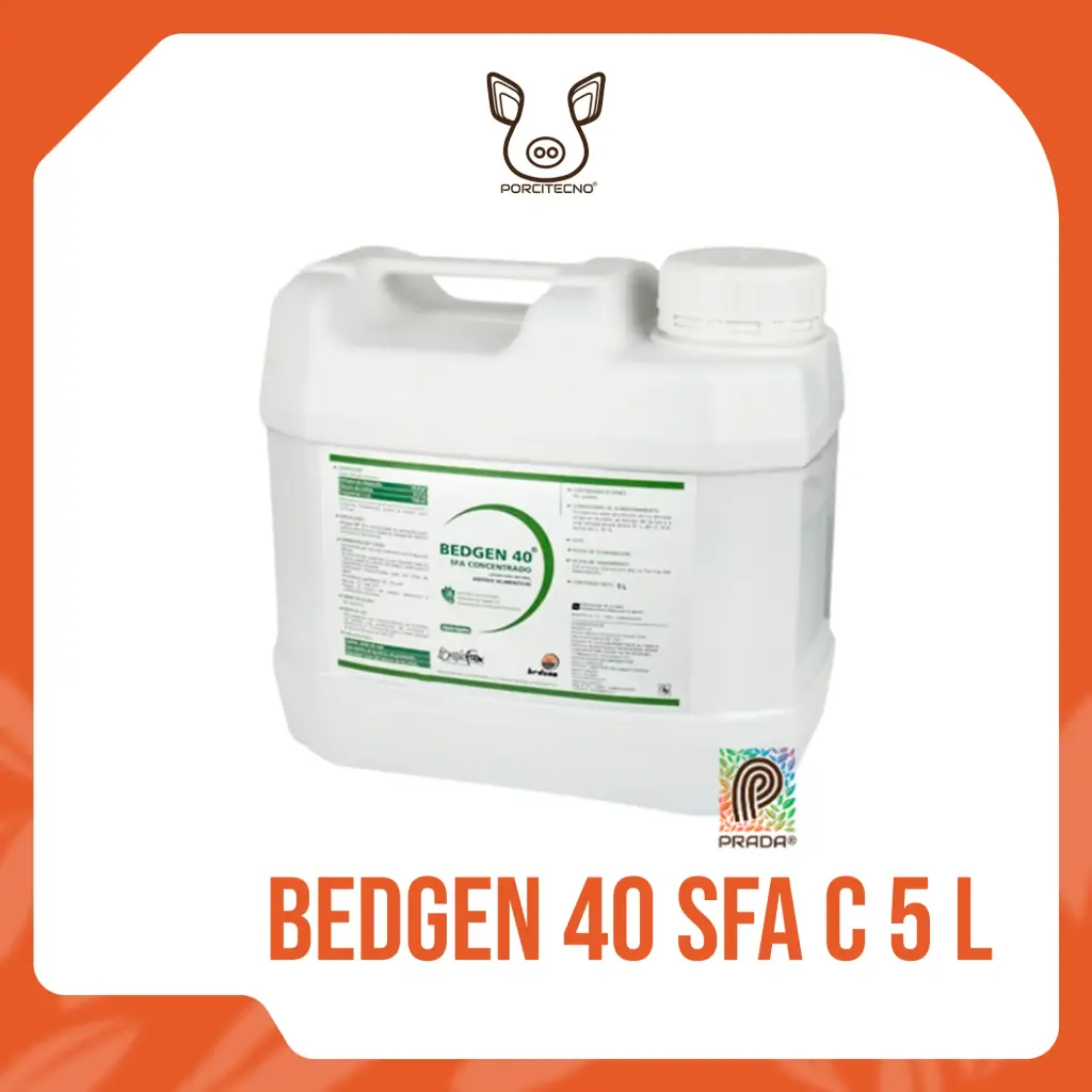 BEDGEN 40 SFA C 5 LT