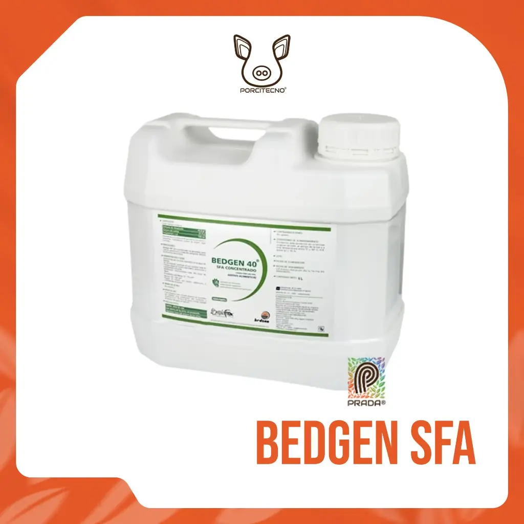 BEDGEN SFA C 5 L {M}