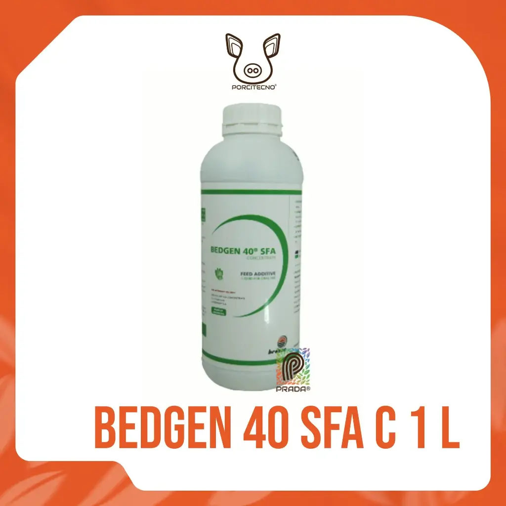 BEDGEN 40 SFA C 1 L {M}