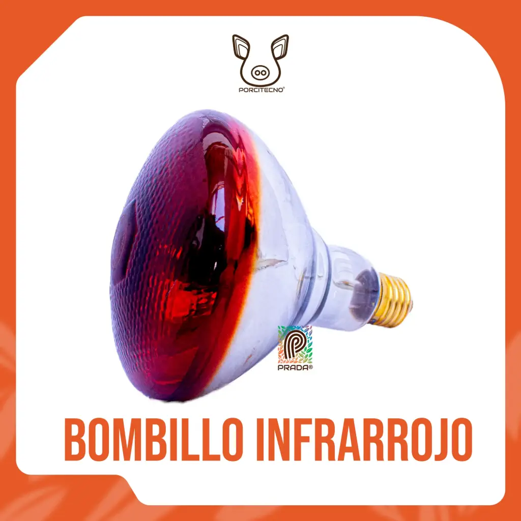 LAMPARA (BOMBILLO INFRARROJO) 220V - 175W