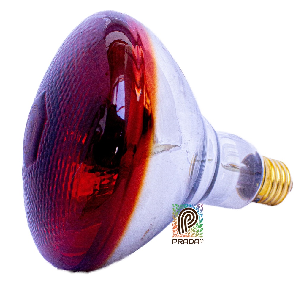 LAMPARA (BOMBILLO INFRARROJO) 220V 175W