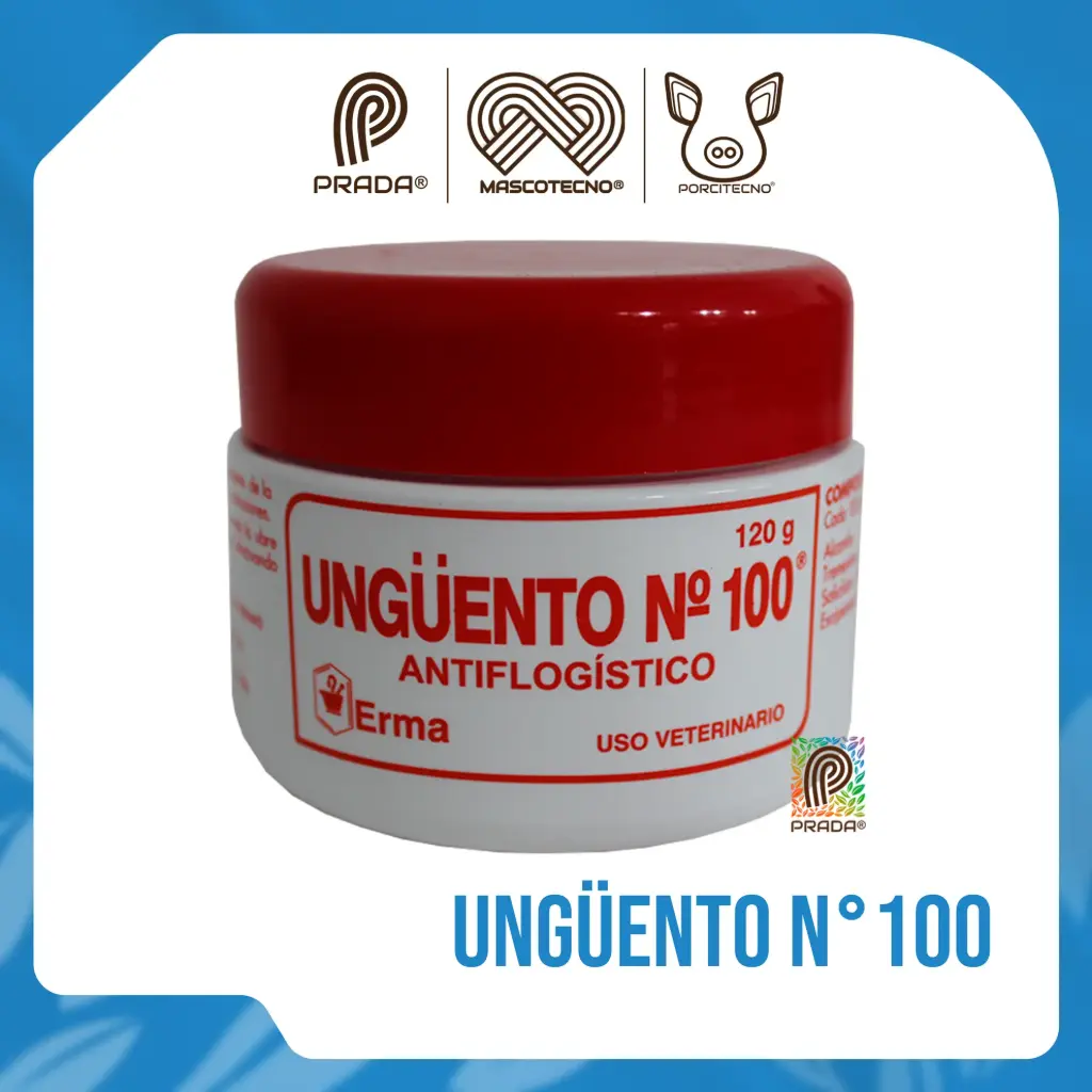 UNGÜENTO NO. 100 100GR