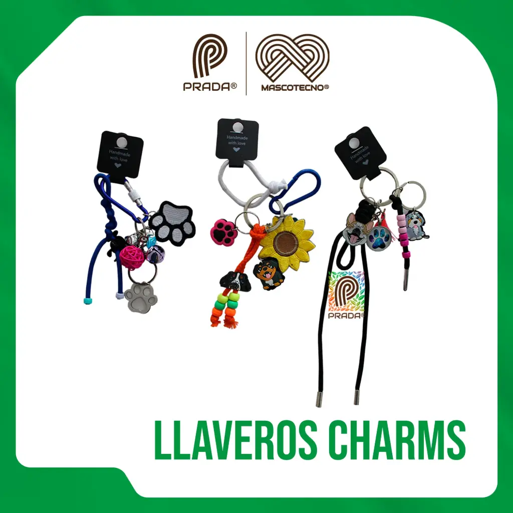 CHARMS