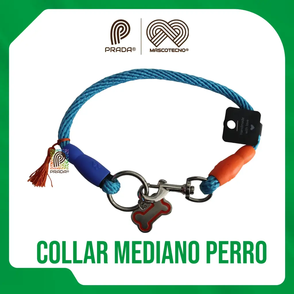 COLLAR MEDIANO PARA PERRO