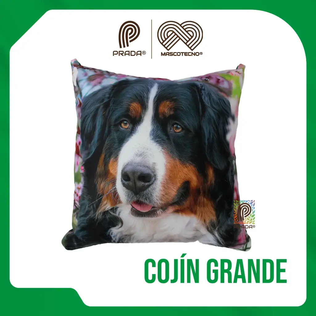 COJIN GRANDE