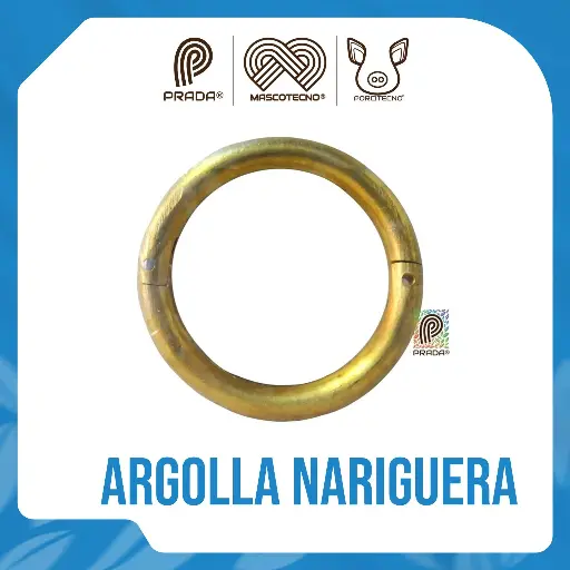 [4-0060-0077] ARGOLLA NARIGUERA DE BRONCE