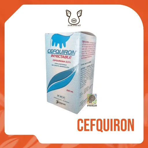 [7-0706-0326] CEFQUIRON INY X 100ML {M}