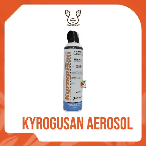 [7-0000-0677] KYROGUSAN AEROSOL X 400 ML {M}