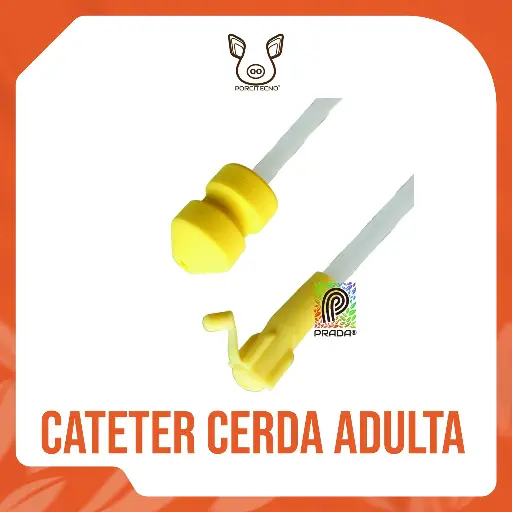 [6-0020-0315] CATÉTER CERDA ADULTA (SOW) AMARILLO TIPO A {M}