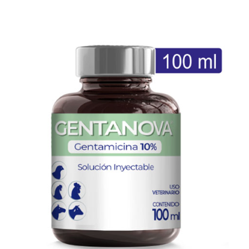 [7-0705-1279] GENTANOVA FRASCO X 100 ML