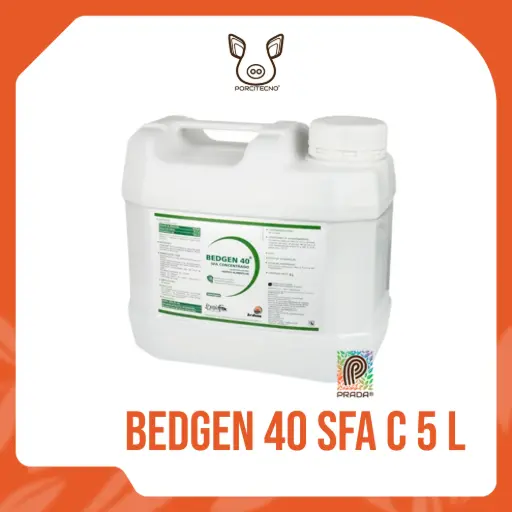 BEDGEN 40 SFA C 5 L {M}