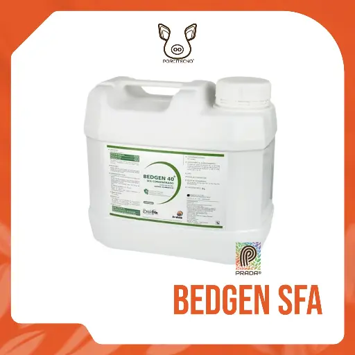 BEDGEN SFA C 5 L {M}