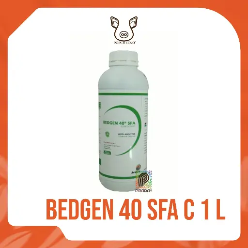 BEDGEN 40 SFA C 1 L {M}